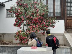 -雨花胜境