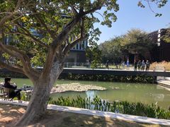 -星巴克(深圳前海企业公馆店)