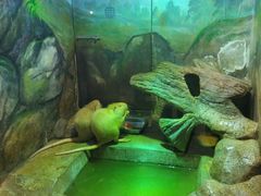 -福州罗源湾海洋世界旅游区