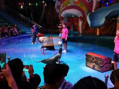 -烟台海昌鲸鲨海洋公园