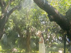 -Chom Cafe and Restaurant