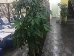 -1号足道推拿会馆