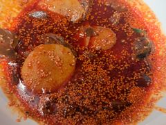 -大鸭梨烤鸭(望京店)