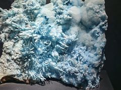 -浙江自然博物院(杭州馆)