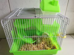 -中环花鸟鱼虫市场