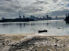 -海沧湾公园