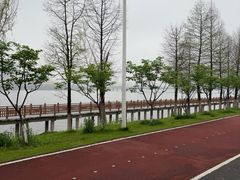 -艾溪湖湿地公园