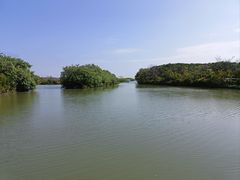 -大湾区中央湿地公园
