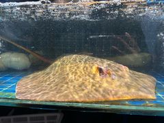 -健眺小海鲜(临海后山店)