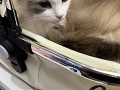 -FAELING PETS美天灵宠物(富力广场店)