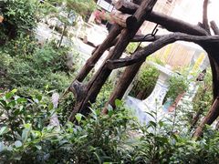 -Tikky Cafe