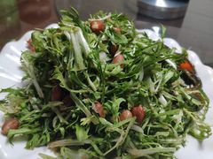 -林之六八·6886大连老菜馆