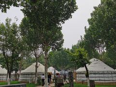 -九十九顶毡房(阜石路店)