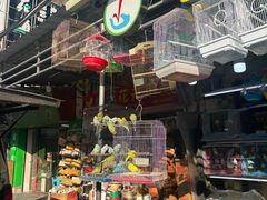 -溪岸路花鸟市场