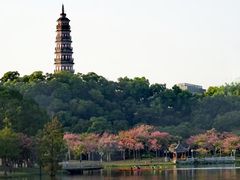 -顺峰山公园