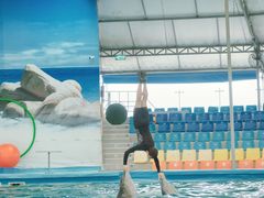 -尼莫海豚馆