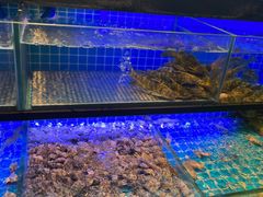 -透明思烤·自助烤肉海鲜火锅(东部星悦天地店)