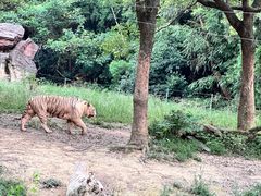 -杭州野生动物世界