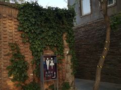 -枫花园汽车电影院(朝阳公园店)
