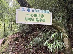 -青城山