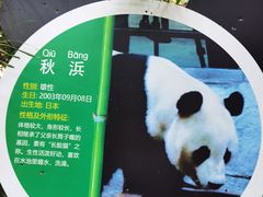 -深圳野生动物园