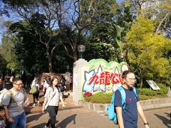 -九龙公园
