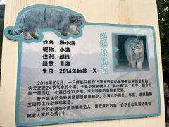 -青藏高原野生动物园