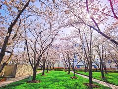 -龙美术馆西岸馆-停车场