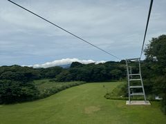 -济州森林小火车生态公园