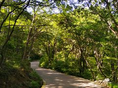 -紫金山山顶公园