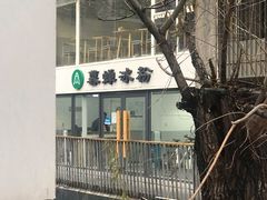 -暮蝉冰粉