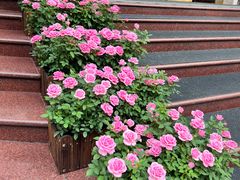 -成都绿洲大酒店(春熙路太古里店)