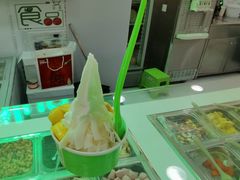 -Salud撒露欧洲冻酸奶(五道口购物中心店)