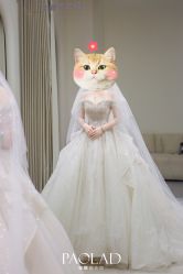 -南京宝娜嫁衣婚纱礼服馆(中央路店)