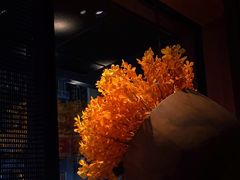 -三井日式料理(农安街店)