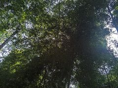 -九龙潭景区
