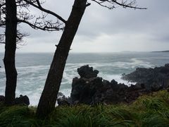 -龙头岩(Dragon Head Rock)