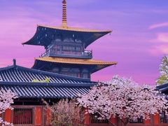 -广富林郊野公园