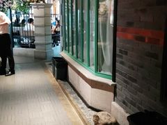 -沪小胖小龙虾(淮海中路旗舰店)