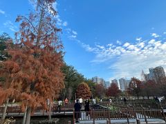 -五缘湾湿地公园