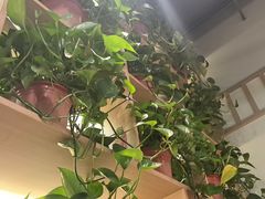 -小两口锦州烧烤·脆皮油边·麻辣涮肚(依云北郡店)