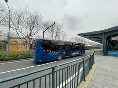 -迪士尼乐园停车场