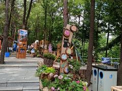 -沂蒙山旅游区云蒙景区(蒙山国家森林公园)