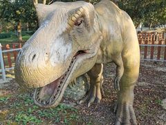 -上海海湾国家森林公园