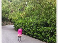 -韩湘水博园