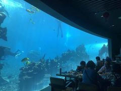 -海棠湾洲际-涛·海底餐厅·美人鱼·自助餐·海底隧道