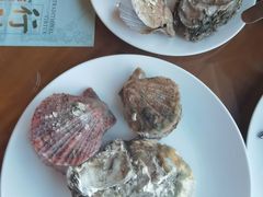 生蚝-长春净月潭喜来登酒店·盛宴标帜餐厅