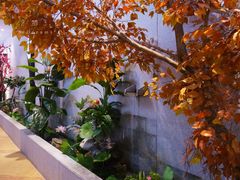 -丽池宫韩式汗蒸会馆(华灯坊店)