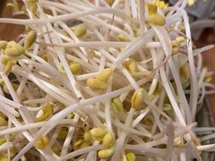 -城墙拐拐火锅(三峡广场黑金冠店)