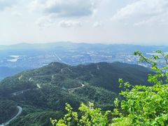 -阳台山森林公园